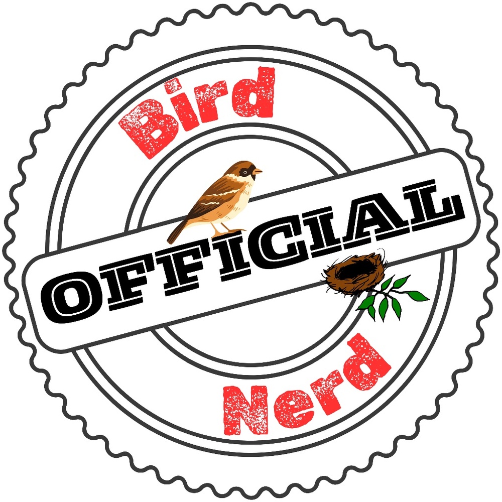 BIRD NERD (Bundle ANY 3 Stickers for $10)